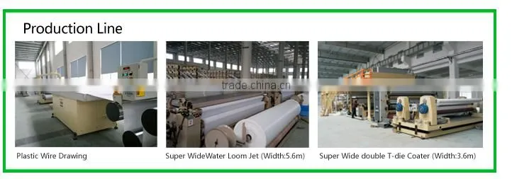 100mic China PE Tarpaulin roll Factory