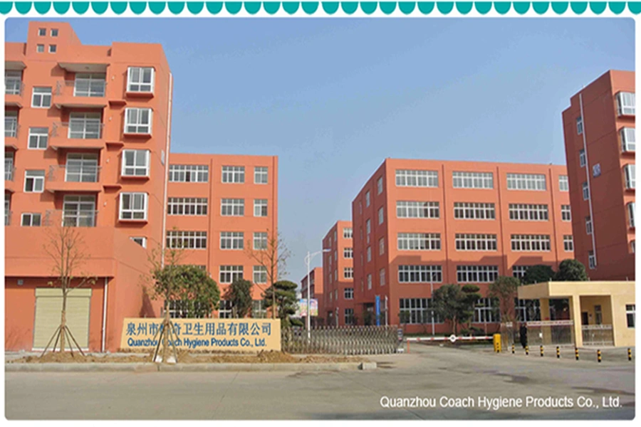 Quanzhou Coach Hygiene Products CO.,LTD company overview - view 1