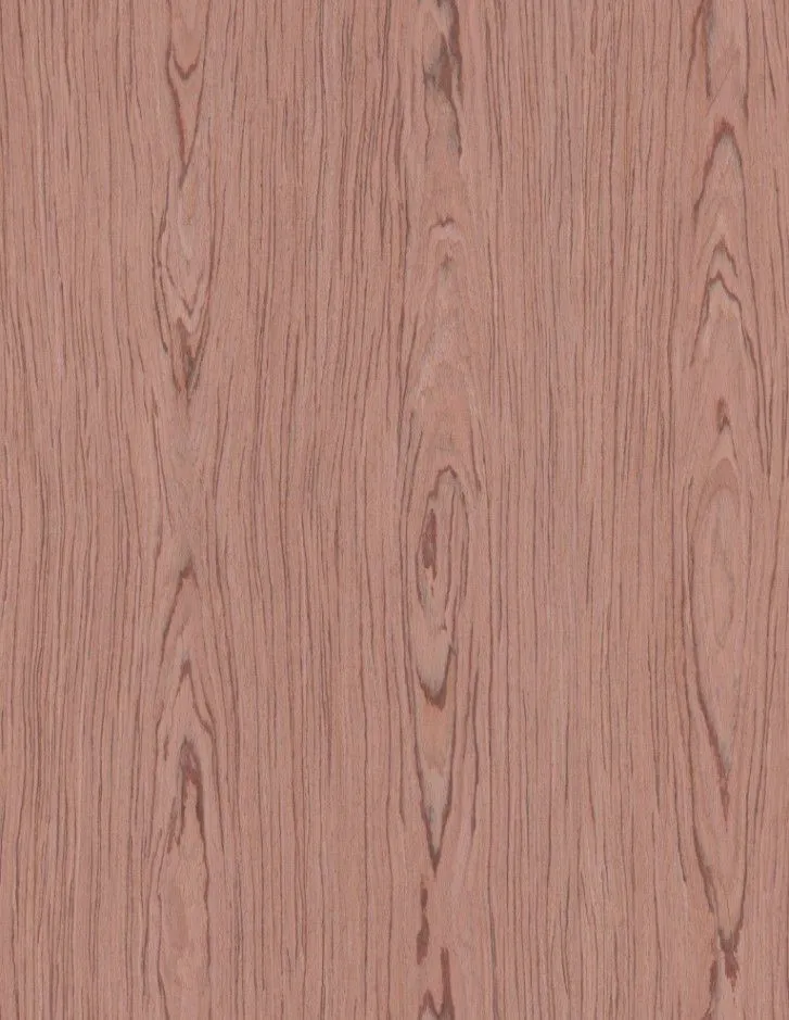 veneer4.jpg