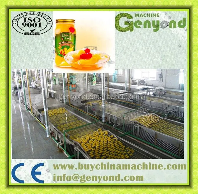 Fruit Canning Machines for Pineapple Mango