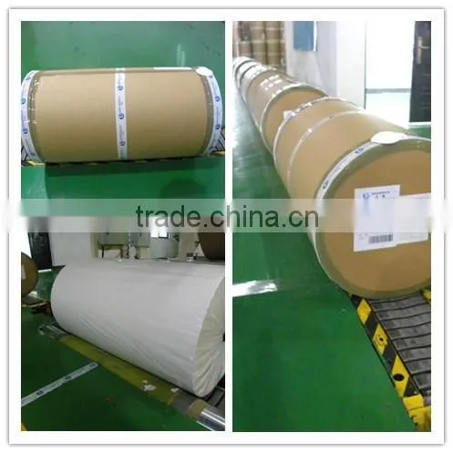 Wood grain base paper new model DS3012-70 popular in india market