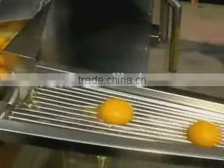 ZENYER 3000pcs/h stainless egg breaker machine