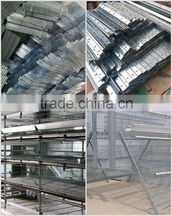 galvanized quail cage with automatic system