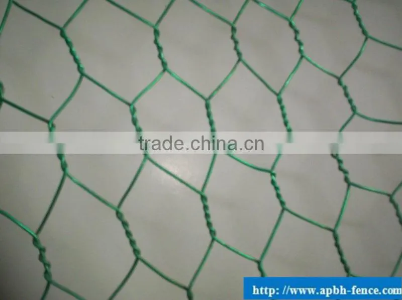 3/4" Galvanized Hexagonal Chicken Wire Mesh For Sales(factory)