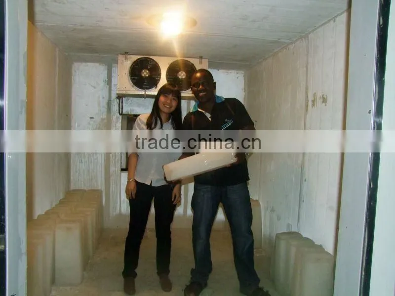 containerized block ice machine hot sale in Africa