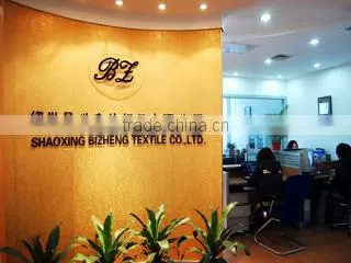 Shaoxing County Bizheng Textile Co., Ltd. company overview - view 1