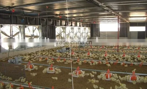 broiler chicken poultry farm equipment