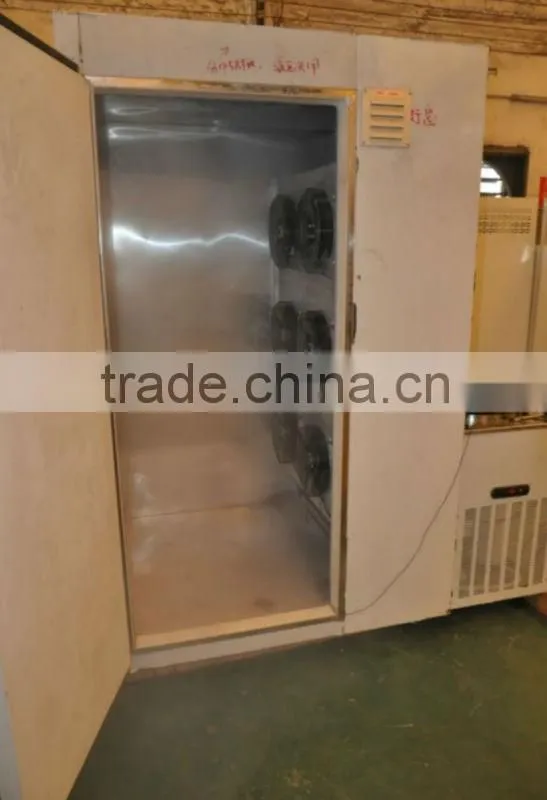 Stainless steel vertical blast freezer with single trolly