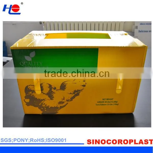 PP Corrugated Plastic Fluted Ginger Box