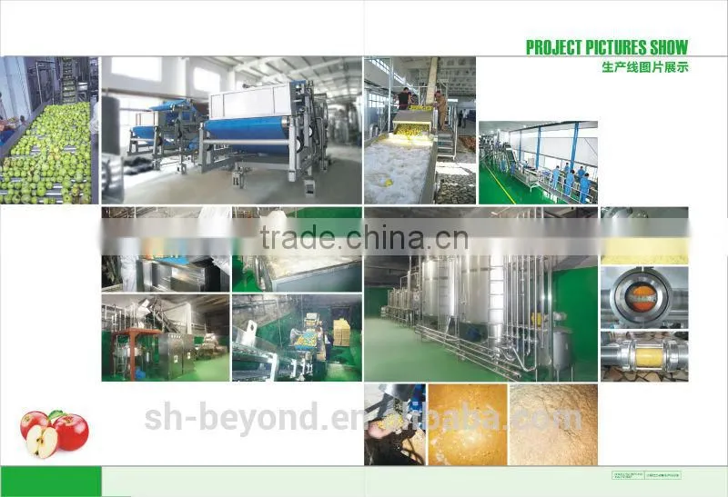 turnkey project of automatic Apple Processing plant