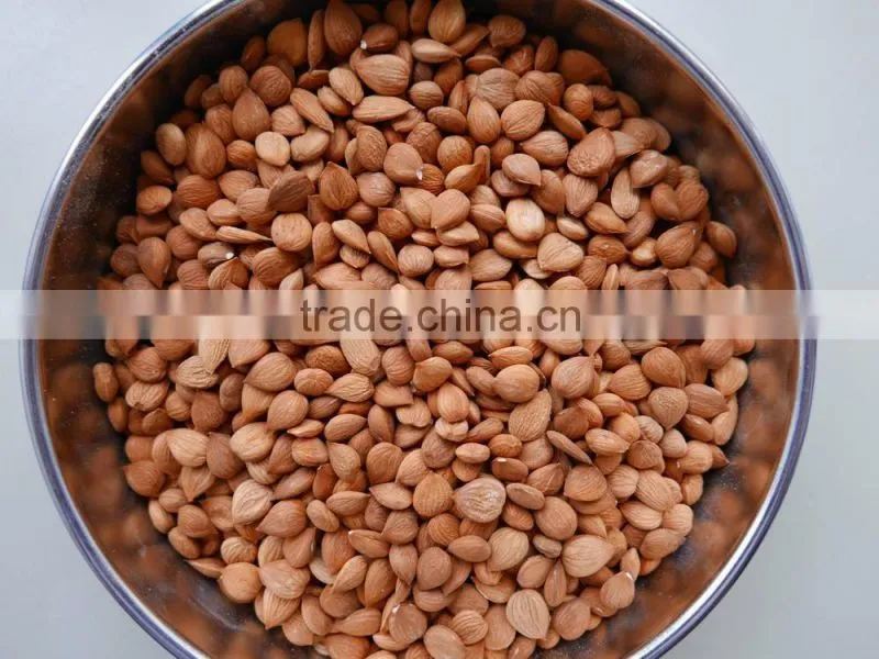 zhangjiakou Origin bitter apricot kernel for sale