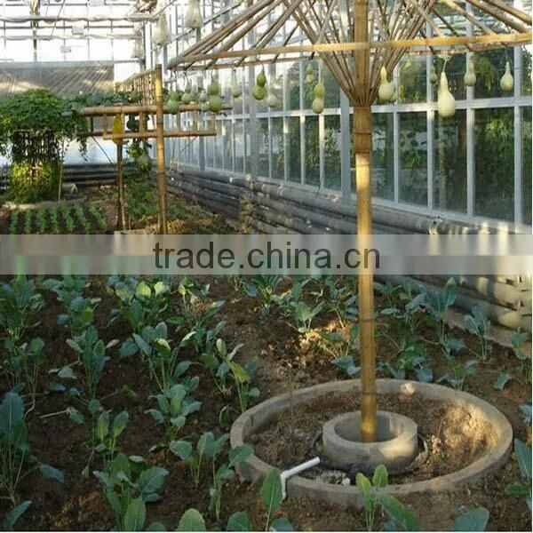 perlite expanded