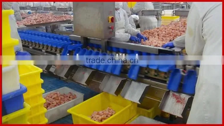 Automatic Chicken Wings and Meats Weight Sorting Machine