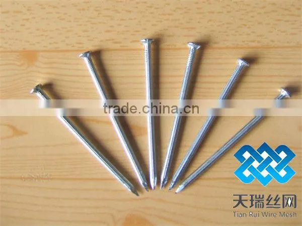 Nail/wire nail/common nails