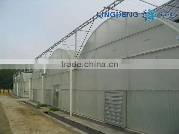 Greenhouse vegetables