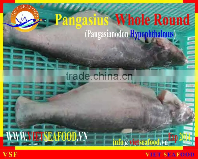 FROZEN W/R PANGASIUS