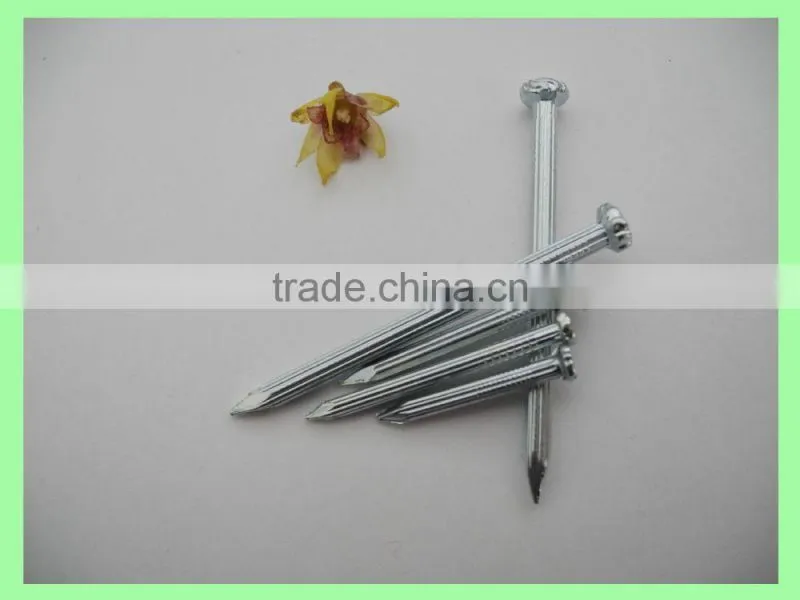 competitive price of concrete steel nails for India market
