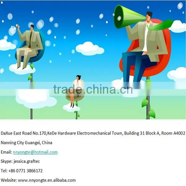 Electric Crane Scale/Digital Hoist Scale