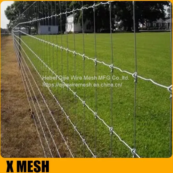 Hot Dipped Galvanized Hinge Joint Fencing For Animals Feeding