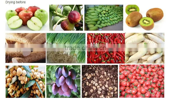 freeze drying fruit machine