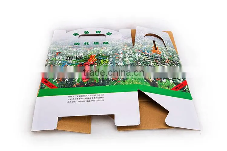 Full Color Printed Rectangle Folding design big size cardboard box for fruit