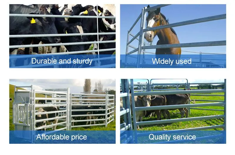 Heavy Duty Welded Wire Mesh With Green PVC Coating for Animal Containment Security Durable Farm Fence