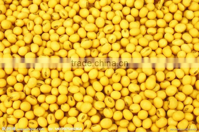 rice bran oil expeller,extraction press machine