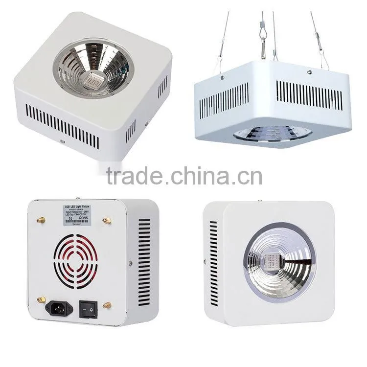 200-1200W led grow light full spectrum for plant, cob full spectrum led grow light indoor green house use