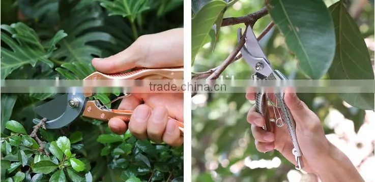 Ratcheting Lopping Scissors with Stainless Steel Blades