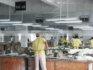Shenzhen Xinran Models Exhibits Co., Ltd. company overview - view 4