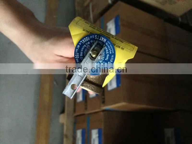 Watts T/P Relief Valve