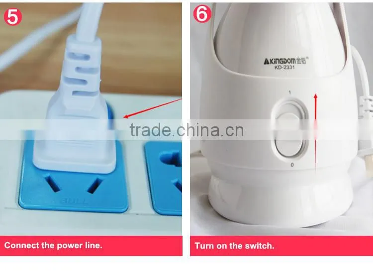 Kingdom High-Tech portable mini Skin Ion Facial Steamer