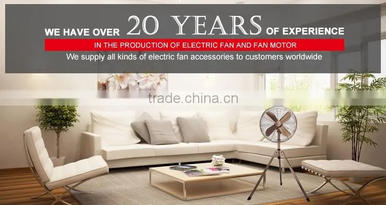 Exhaust roof fan 8"/10"/12"& Plastic Ceiling fan of Dongguan China supplier