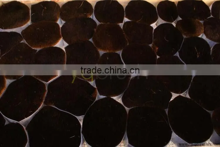 38-89mm dyed goat hair 020 for cosmetic use