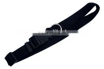 Ribbon Pet Collar and Leash