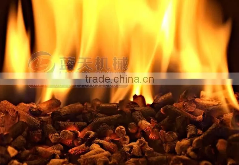 CE ISO Horizontal Ring Die Biomass Wood Pellet Mill/ Wood Pellet Making Machine Price/ Sawdust Wood Pellet Machine Price