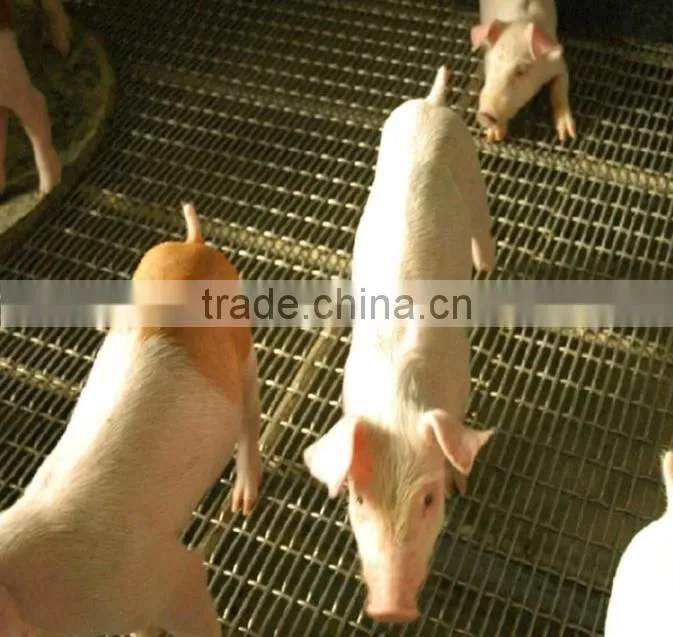 S.S. Crimped wire mesh for pig raising/heavy duty crimped wire mesh