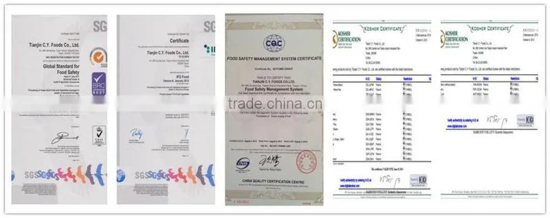 TTN Instant wholesale fruit flavored drink powder Fruit powder