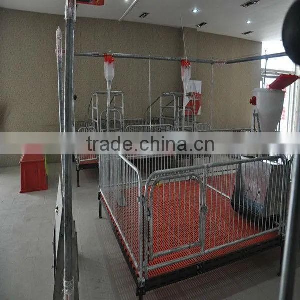 Automatic Poultry Equipment for Pig Raising