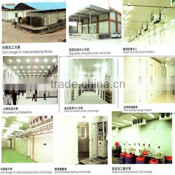 modular cold room and freezer room(fruit&meat)with cam lock polyurethane panels