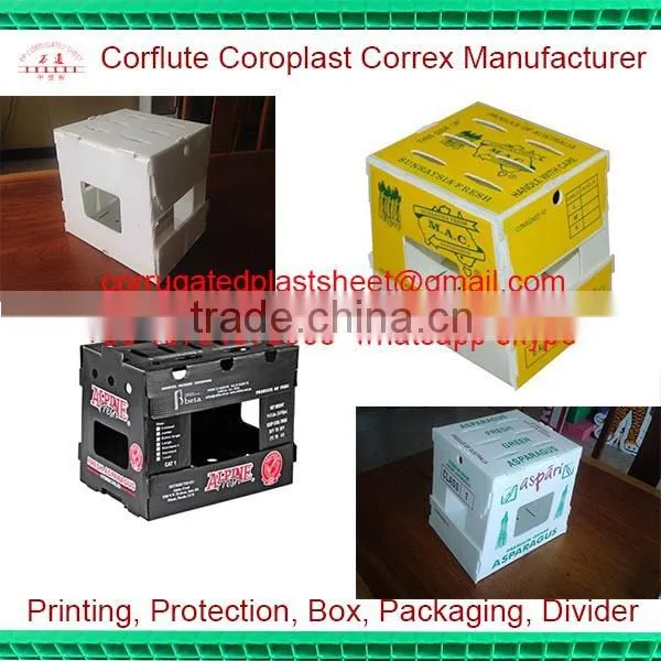 plastic pp seafood corflute box