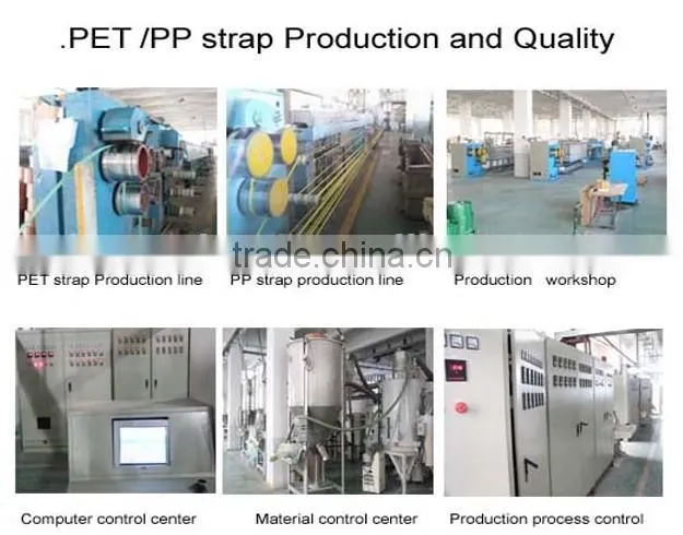 High quality factory price PP strapping Band