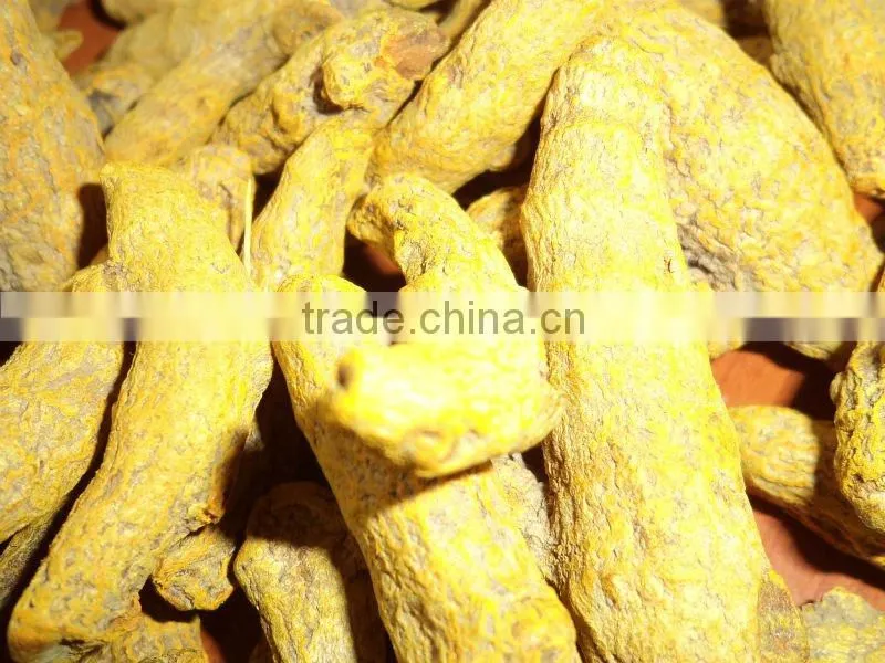 Fresh Turmeric / Dried Turmeric / Turmeric Finger