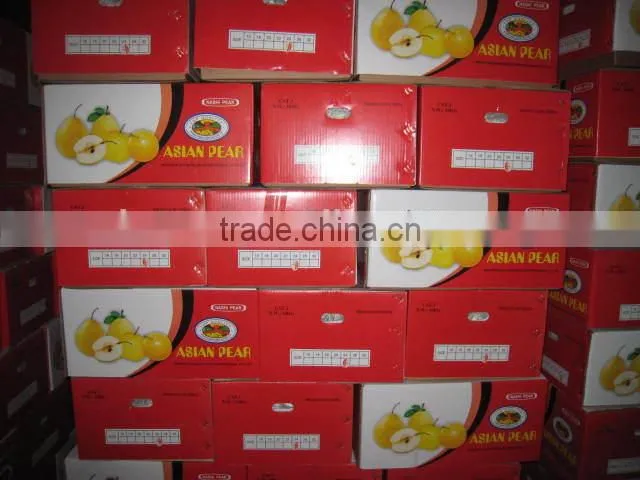 2014 crop shandong golden pear