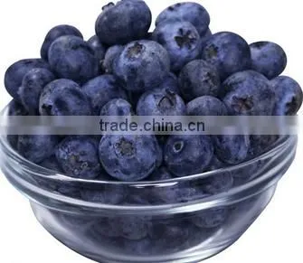 Golden Supplier of Top Quality Frozen Raspberry From China Processor