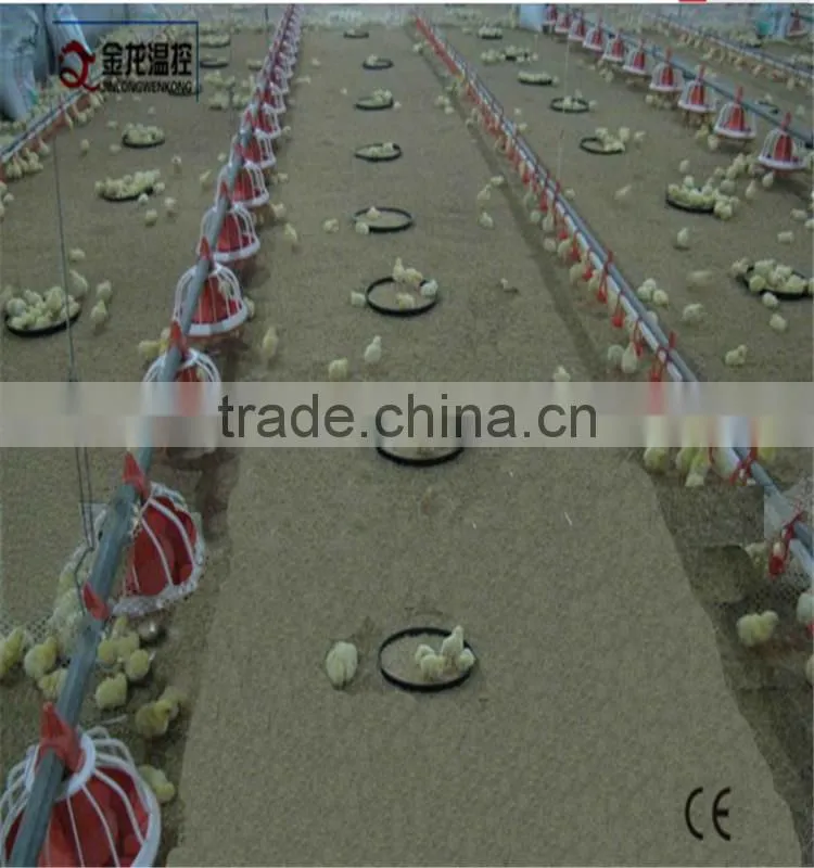 poultry cage chicken feeding system