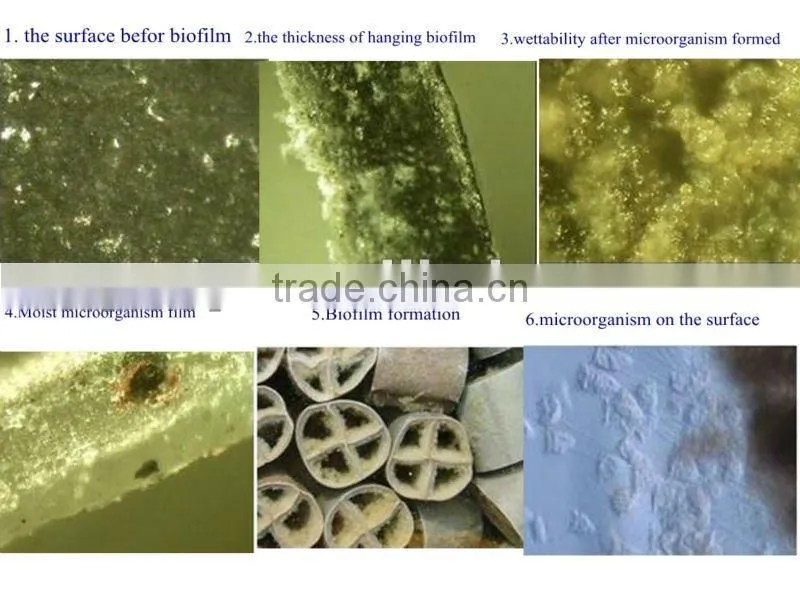 AMB Bio media for WWTP Plant(six cells)
