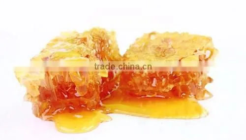 honey vacuum concentrator /honey extractor /honey making machine used to remove moisture of honey