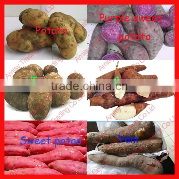 Good price potato washing and peeling machine