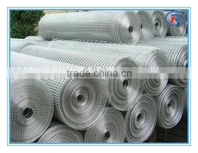 Hot sale 3/4"x3/4"welded wire mesh roll/panel for fence